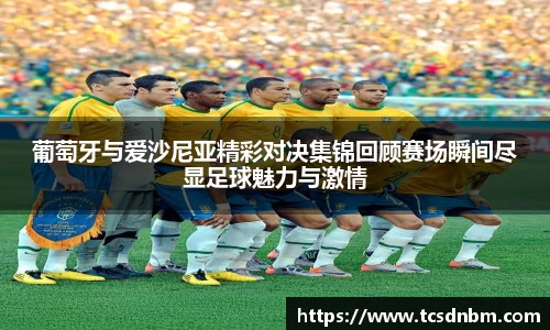 葡萄牙与爱沙尼亚精彩对决集锦回顾赛场瞬间尽显足球魅力与激情