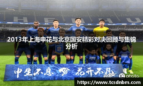 2013年上海申花与北京国安精彩对决回顾与集锦分析